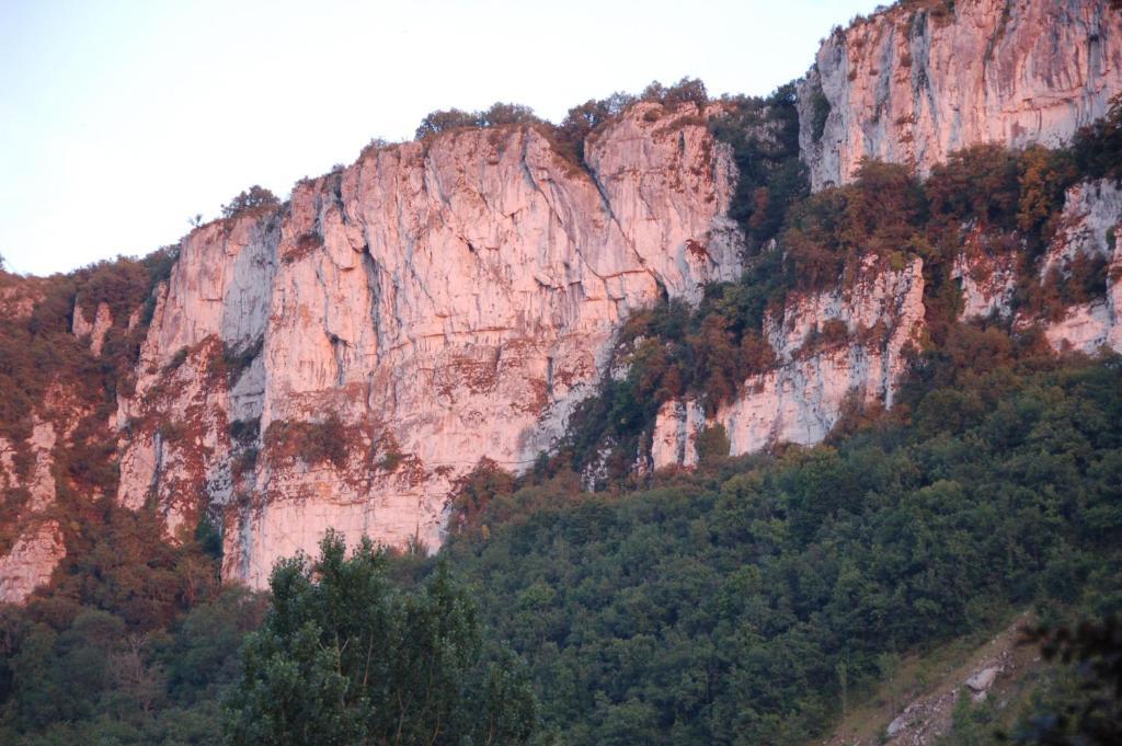 Auberge Lion D'Or Saint-Antonin-Noble-Val Exterior photo